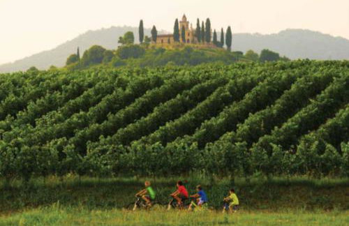 Iseo Lake Home Nature & Relax - Foto 61