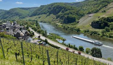 Ferienwohnung Metzen - Foto 4