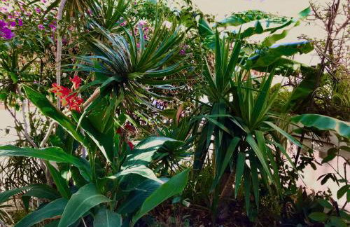 Penthouse Valle Gran Rey - Foto 51