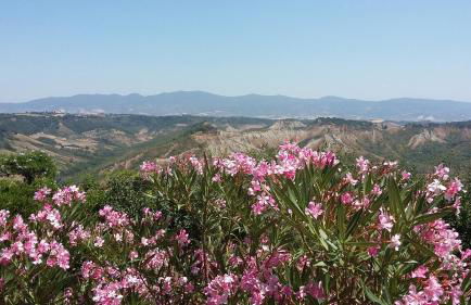 Blue House Near Bagnoregio-overlooking the Umbrian Mountains and Tiber Valley - Foto 129