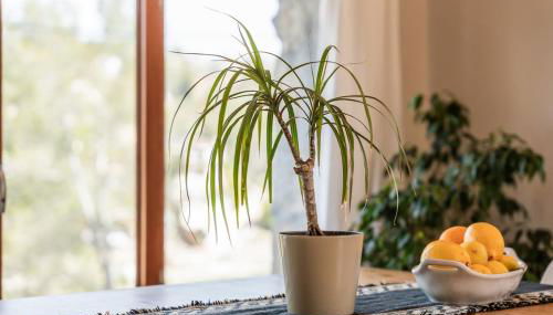 Casa Olivella #7 by Happy Houses Barcelona - Photo 5