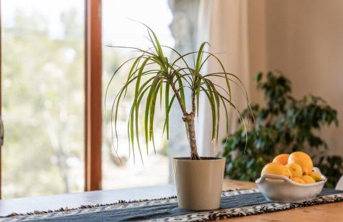 Casa Olivella #7 by Happy Houses Barcelona - Photo 5