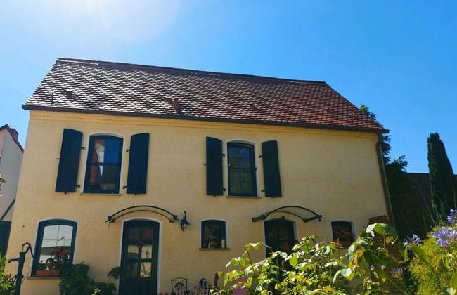 Zonnehof in het Geiseltal - Foto 38