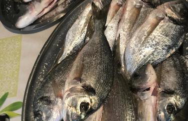 Apartments Curnić - Photo 29