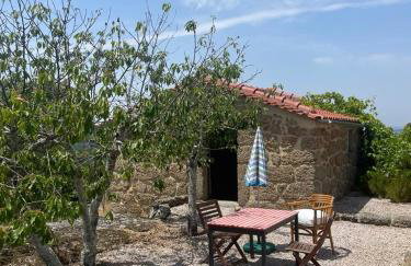 Quinta do Sobral de São Geraldo - Foto 30