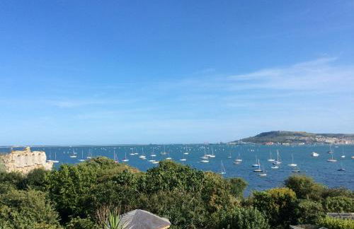 Little Gem - Photo 3