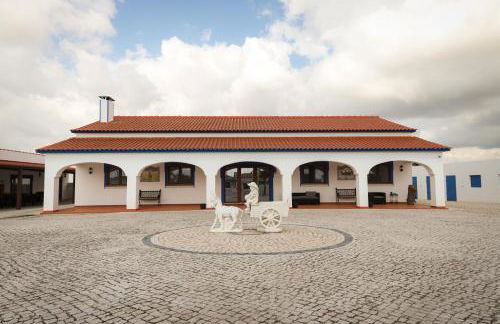 QUINTA das OLIVEIRAS COUNTRY HOUSE - Foto 32