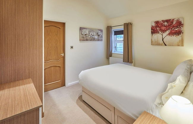 Host Stay The Woodlands - Foto 8