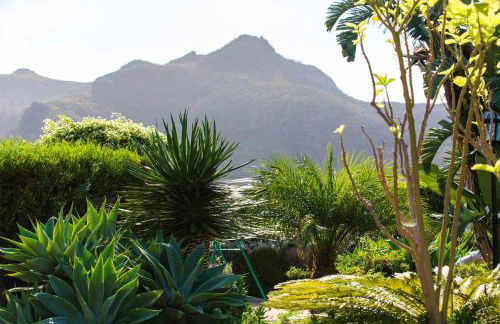 Cosy Apartment in San Cristóbal de La Laguna, 32 m², Pool. - Foto 3