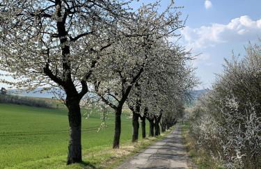 Ferienwohnung Weitblick - Photo 20
