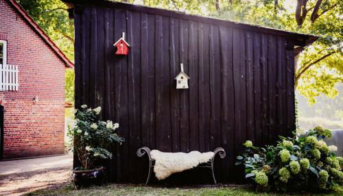 Carpe Deimern in der Lüneburger Heide - Foto 5, Garden