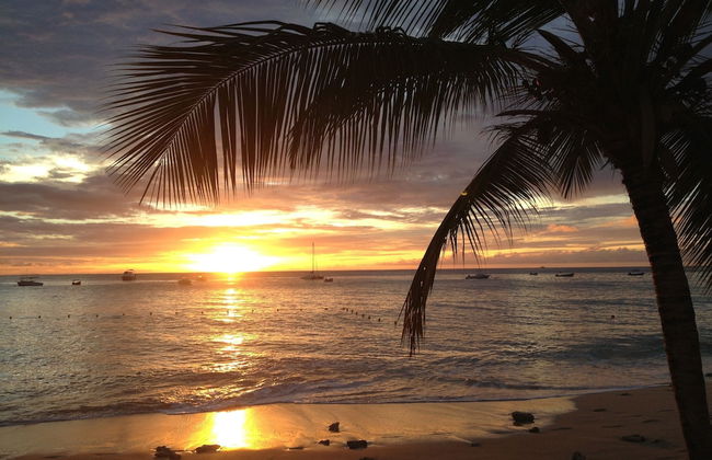 Tropical Sunset Beach Apartment Hotel - Foto 43