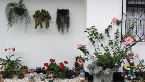 Recanto Área Verde, tradição e cultura alemã - Foto 3