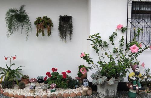 Recanto Área Verde, tradição e cultura alemã - Foto 3