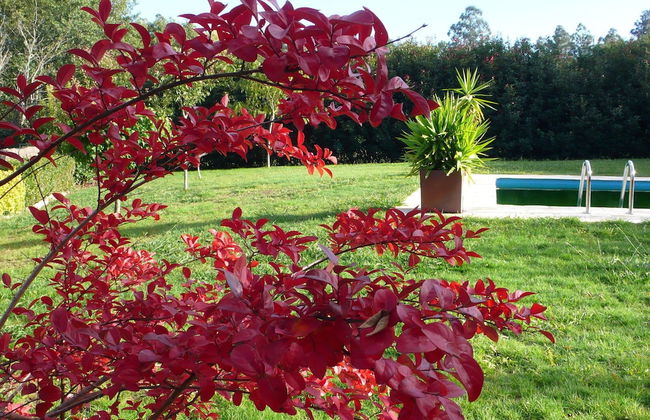 Cosy Holiday Home in Costoia With Private Pool and Garden - Photo 18