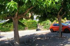 Duplex Camargue Village - Photo 45