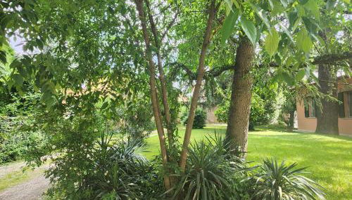 Esperienza d'altri tempi, Bologna - Photo 2, Garden