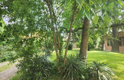 Esperienza d'altri tempi, Bologna - Photo 2