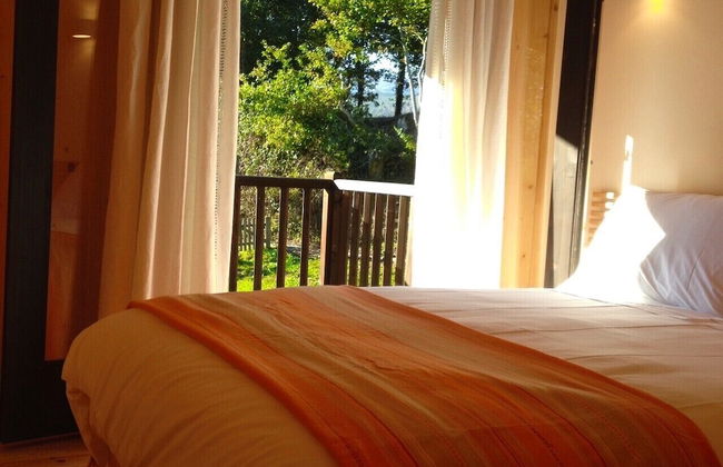 Treehouse Quinta Lamosa - Foto 2