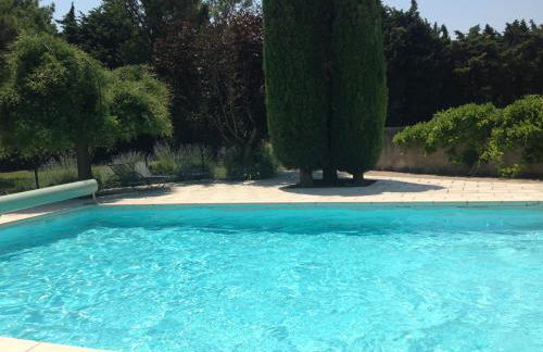 The Willow Tree - Photo 20