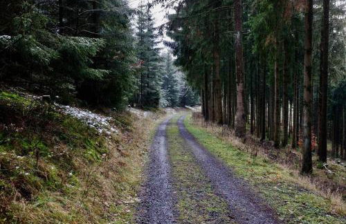 Altes Zollhaus - Foto 55