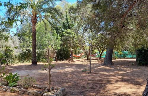 La Casita, Three bedroom home - Photo 2