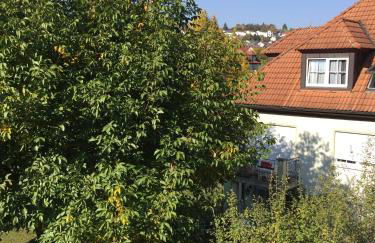 Gartenblick Zell am Main - Foto 17