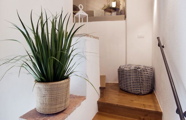 Agriturismo La Via dell'Oliviera - Foto 21