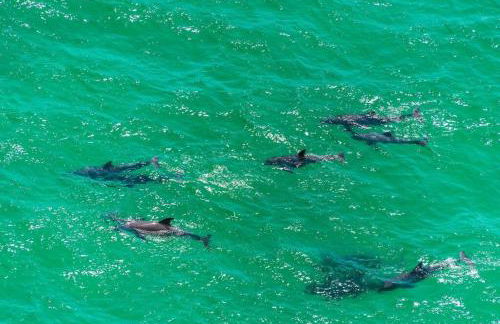 Ground-floor Studio at Sandestin Golf & Beach Resort: Sleeps 4 - Foto 104