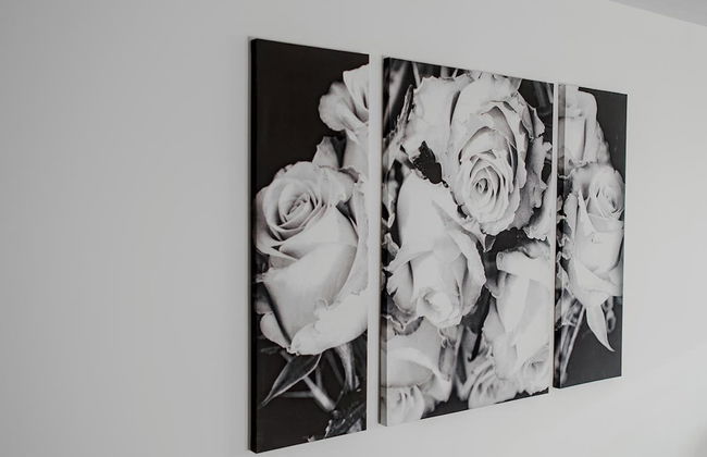 Orange Apartments - 22 Polmuir Gardens LTD - Photo 5