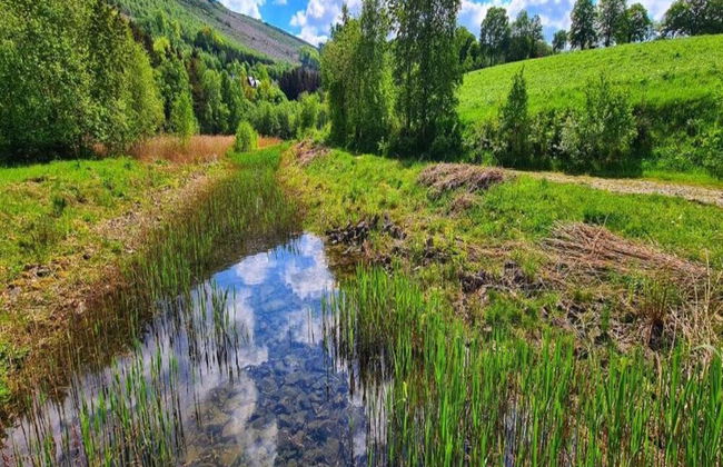 Talferienhaus, Sauerland - Foto 37