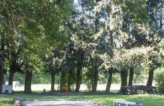 Gîte Les cyprès de l'ile - Foto 24