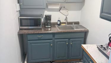 Garden level one bedroom apartment - Foto 5