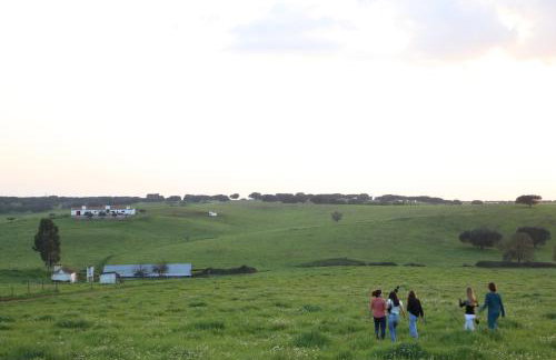 Monte do Arneiro - Foto 6
