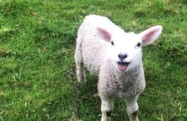 The Artists Barn - Foto 20