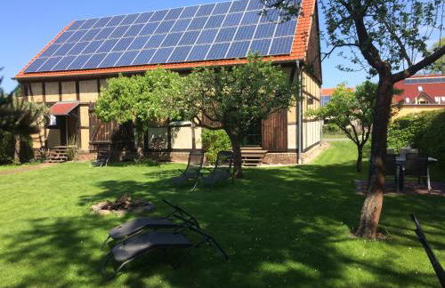 Storchenblick - Foto 6