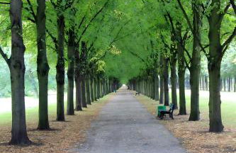 Pension Schlachter's Hius - Foto 33