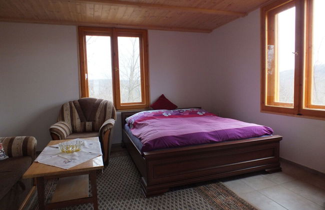 Ferienhaus Weinbergalm - Photo 2