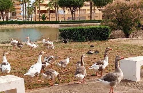 Apartamento en la playa - Foto 57