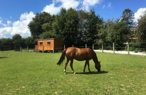 Vue Poneys, 40min Mt St Michel 30min Mer Draps Serviettes Baie Normandie Cottage - Foto 37