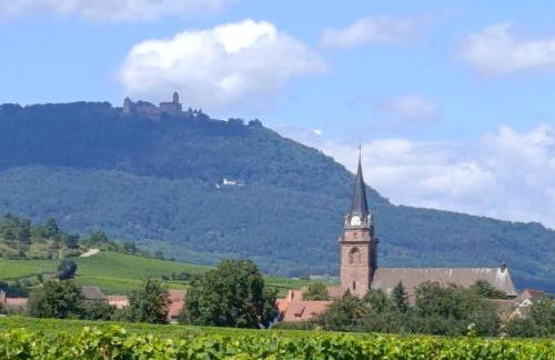 Le Nid Douillet de Bergheim - Foto 30