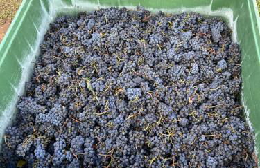 Agriturismo Re di Fiori - Foto 57