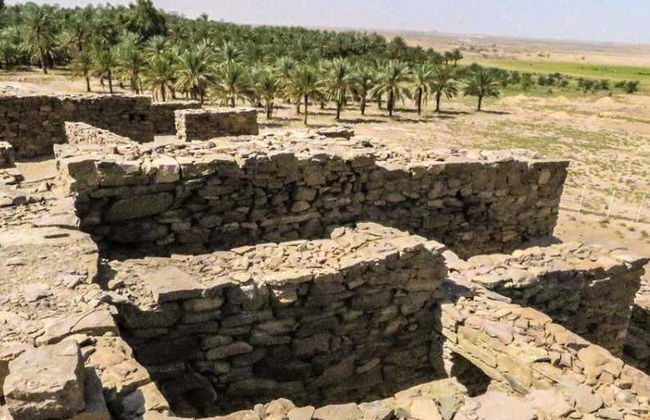 Escursione a Tayma - Foto 1