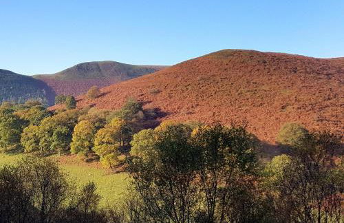 3 Bed in Cilycwm BN093 - Photo 30