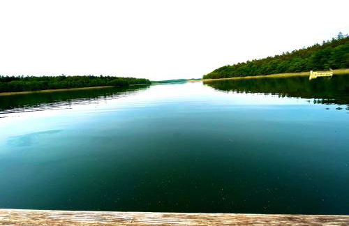 Erholungs- und Freizeithaus Neu Sammit - Foto 63