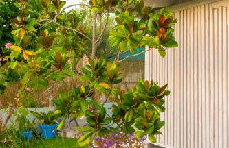Island house - Foto 47
