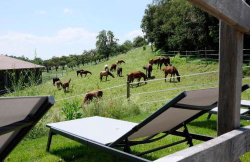 Trautesheim Ferienwohnungen - Foto 3