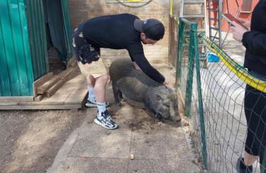 AGRITURISMO AZIENDA AGRICOLA FERRARI M.RITA - Photo 11