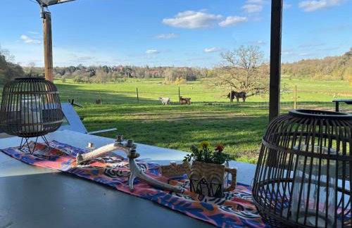 Outlook farm cabin firepit - Photo 32