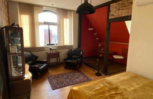 Monsieur Claude - Wohnen in einer historischen Villa - Foto 8